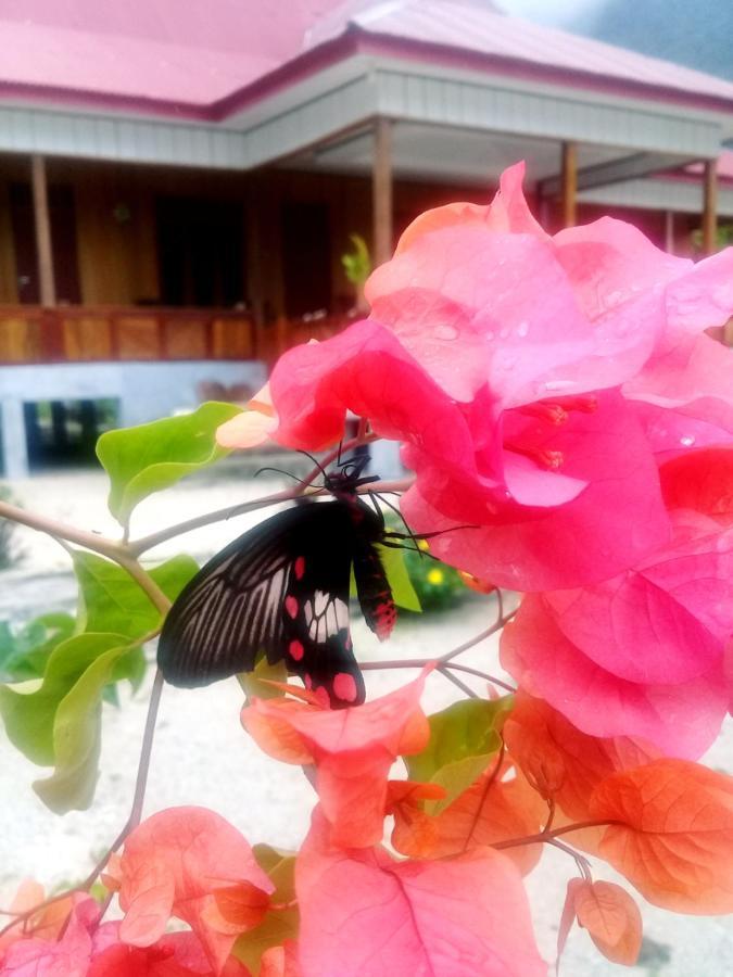 Nusa Nalan Beach Resort Rumah Olat ภายนอก รูปภาพ